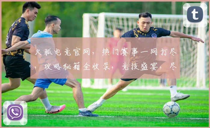 火狐电竞官网，热门赛事一网打尽，攻略秘籍全收录，竞技盛宴，尽在火狐逗逗逗