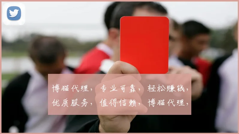 博猫代理，专业可靠，轻松赚钱，优质服务，值得信赖，博猫代理，您的财富加速器