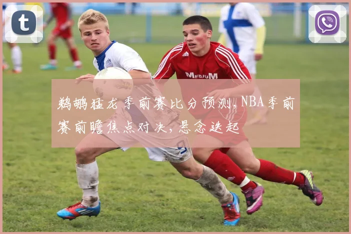 鹈鹕猛龙季前赛比分预测,NBA季前赛前瞻焦点对决,悬念迭起